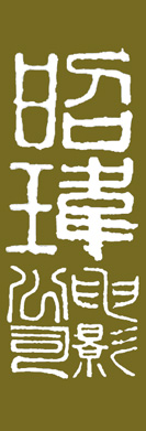 Zhao Wei Films